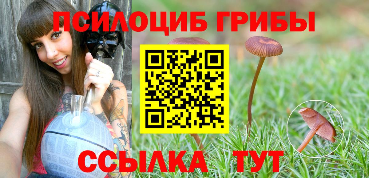 Галлюциногенные грибы MAGIC MUSHROOMS  Вход с VPN  Кемерово  купить   Псилоцибиновые грибы мухоморы 