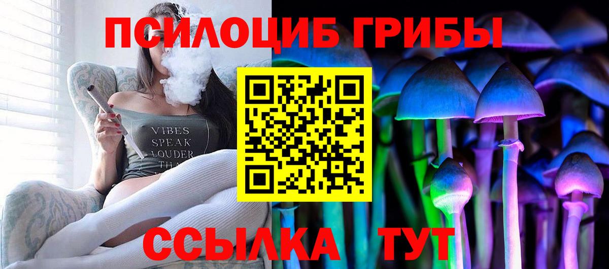 Псилоцибиновые грибы прущие грибы Кемерово